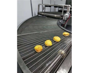 石家庄食品网带转弯机