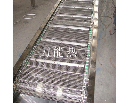 石家庄链网输送机