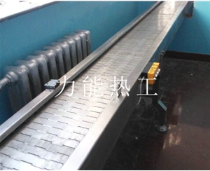 石家庄链板输送机