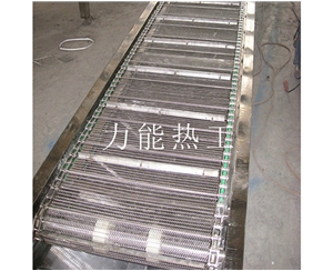 石家庄链网输送机