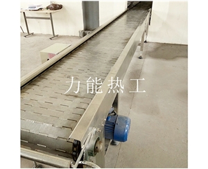 石家庄链板输送机